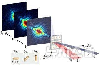 [포항=뉴시스] 송종욱 기자 = 포스텍 연구팀이 세계 최초로 빛을 이용해 나노 세계에서 에너지가 어떻게 흐르고, 변하는지 실시간으로 조종하고 관찰하는 데 성공했다. 사진은 빛의 세기에 따라 금 나노 막대가 변형되는 과정을 포착한 영상.  (사진=포스텍 제공) 2025.11.12. photo@newsis.com