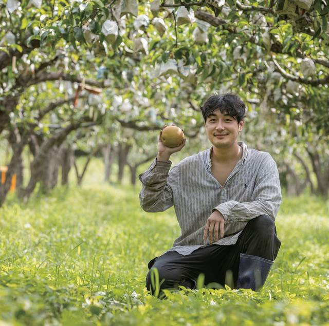 이승호 씨는 건강한 농산물의 가치를 잘 알기 때문에 배 농사를 허투루 하는 법이 없으며, 70년간 축적된 배 생산 기술을 전수받아 고품질 배를 생산하고 있다.