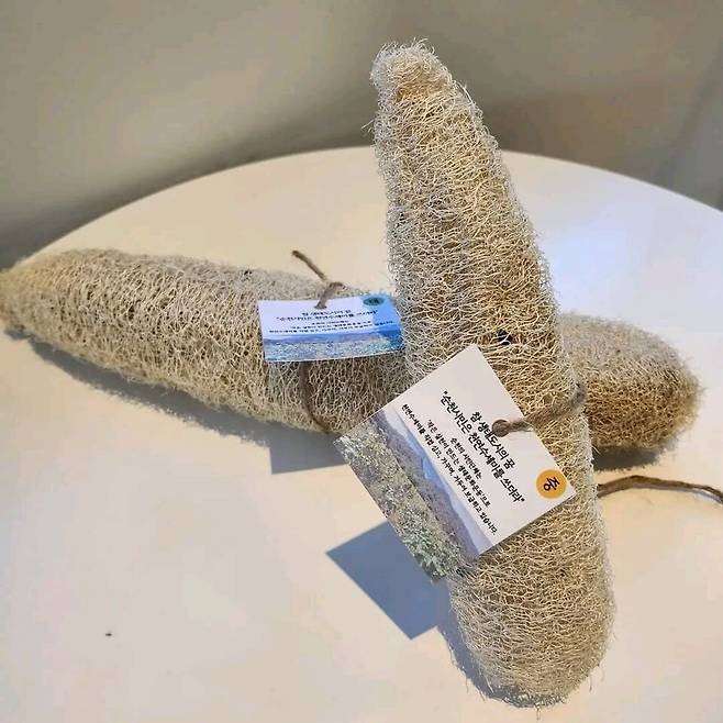 순천 천연 수세미 완성품 ⓒ시민 김준희씨 제공