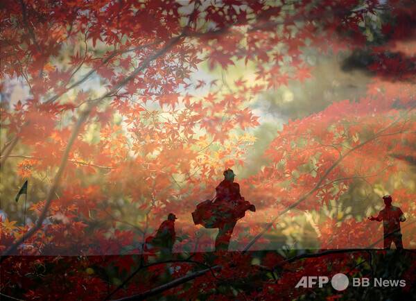 칼럼 내용과 관련 없는 참고 사진입니다. 사진제공=ⓒAFPBBNews = News1 (사진을 무단으로 사용하지 마십시오.)