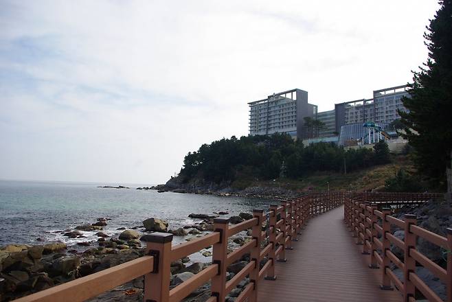외옹치 ‘바다향기로’는 왼쪽으로 바다를 끼고 다양한 이름의 구간을 걷는 아름다운 길이다. 앞쪽으로 롯데리조트가 보인다.       속초 ｜ 양형모 기자