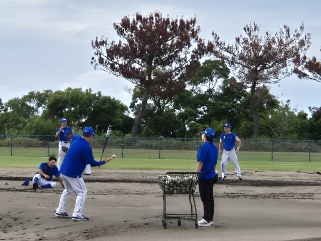 삼성 라이온즈의 박진만 감독이 일본 오키나와 온나손에서 열린 마무리 훈련 도중 심재훈(왼쪽 끝)을 상대로 직접 펑고 훈련을 시키고 있다. 심재훈이 타구를 잡다 쓰러져도 곧바로 다음 타구를 날린다. 채정민 기자