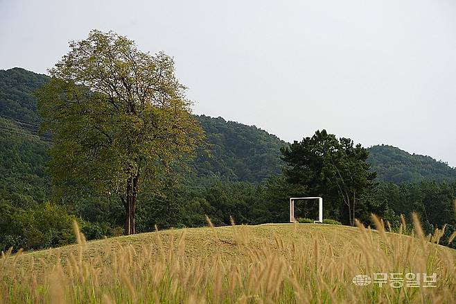 광주시립수목원 감나무 언덕