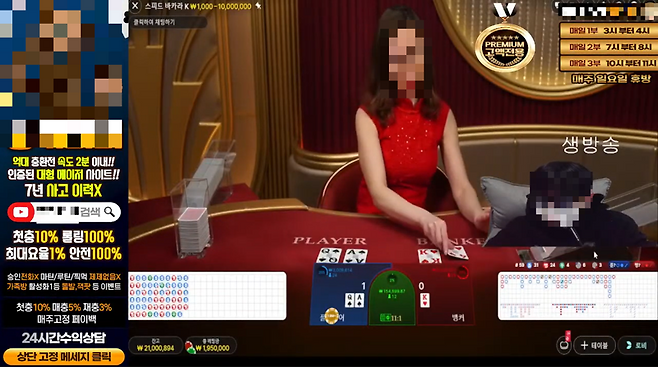 지난 2023년 경찰은 도박공간개설 혐의로 유튜브로 도박 사이트를 홍보해 온 조직 총책 A씨 등 9명을 검거했다. 마포경찰서 제공