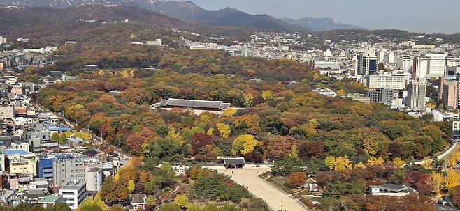 11일 서울 종묘 일대 모습. [연합]