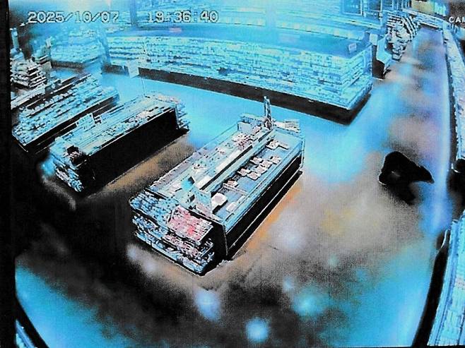 지난 7일 일본 군마현 누마타의 한 슈퍼마켓에 곰 한 마리가 들어가 활보하고 있다.[AFP]