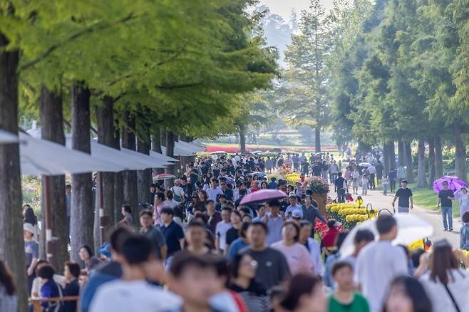 국가정원 낙우송길을 관람객들이 걷고 있다.