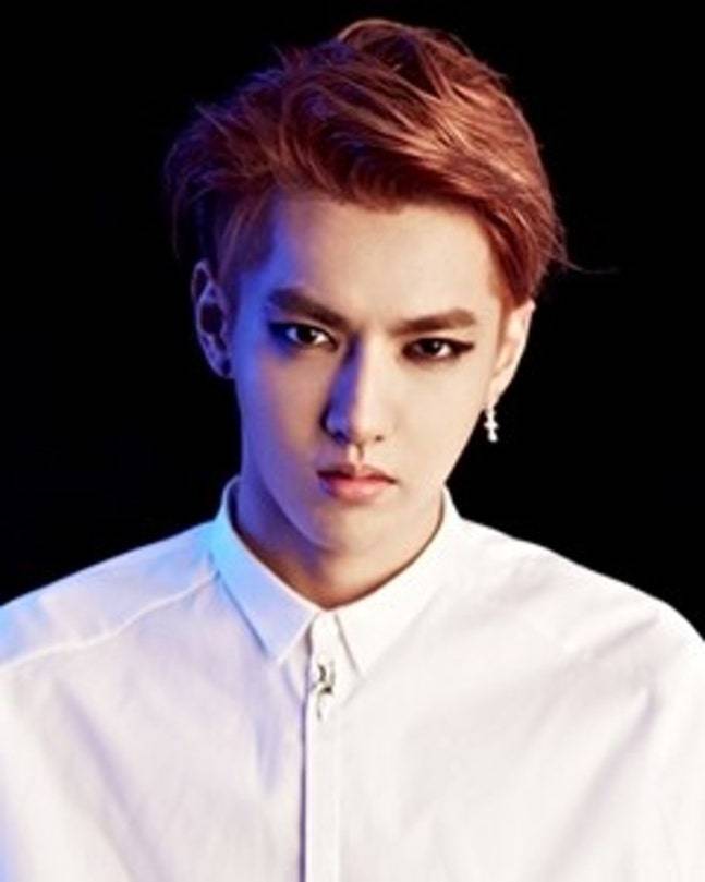 크리스 /사진=전 소속사 SM엔터테인먼트