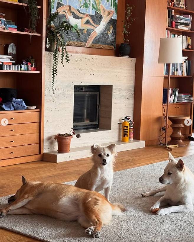 이상순 인스타그램