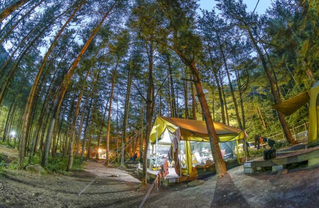 ▲ 동해시 무릉계곡 힐링캠핑장.