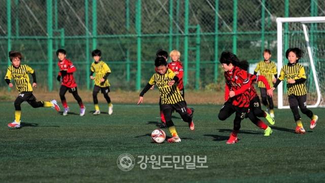 ▲ 제29회 리틀K 전국 유소년축구대회 왕중왕전이 15일 동해 일원에서 열린 가운데 SNFC와 FC캐논이 U-10 예선 경기를 펼치고 있다. 한규빈 기자