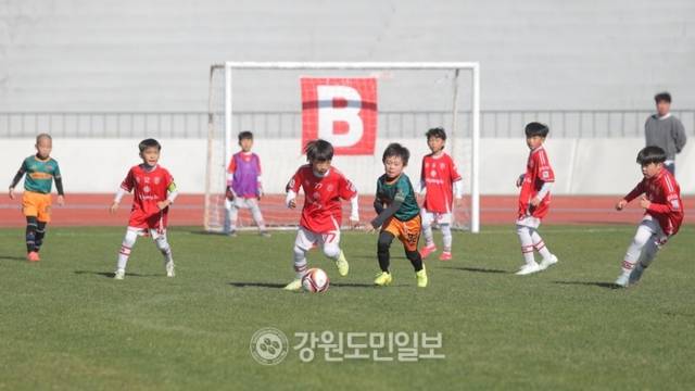 ▲ 제29회 리틀K 전국 유소년축구대회 왕중왕전이 15일 동해 일원에서 열린 가운데 하남FC와 GS경수가 U-8 예선 경기를 펼치고 있다. 한규빈 기자