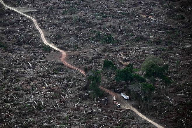 제30차 유엔 기후변화협약(UNFCCC) 당사국총회(COP30)가 열리고 있는 지난 12일(현지시간) 브라질 벨렝 인근 아마존 열대우림에서 한 트럭이 벌채 지역의 목재를 운반하고 있다. AFP연합뉴스