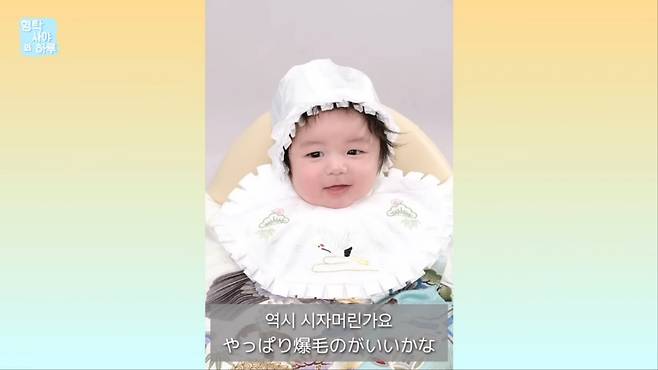 하루 100일 사진