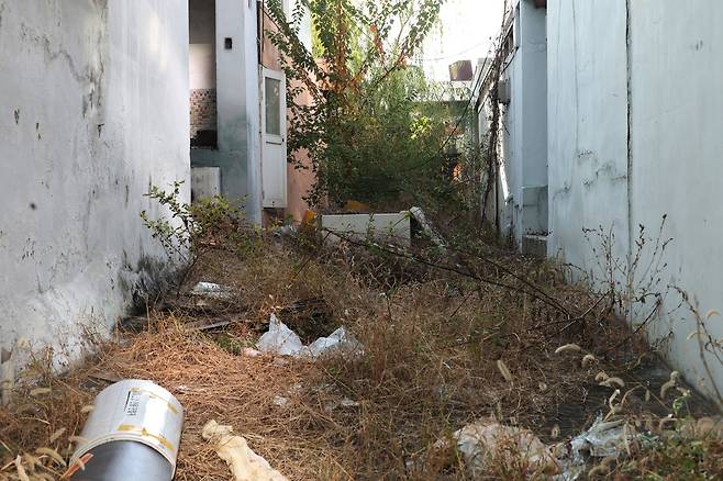 잡초 무성히 자란 주택 골목길  (대구=연합뉴스) 박세진 기자 = 지난 14일 대구 동구 효목2동 화랑로 17·19길 민영 개발 구역 일대 주택으로 진입하는 골목길에 잡초가 자라 있다. 2025.11.14 psjpsj@yna.co.kr