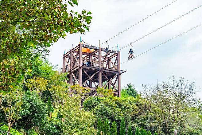 도째비골스카이밸리의 짜릿함을 선사하는 스카이사이클(한국관광공사 제공)