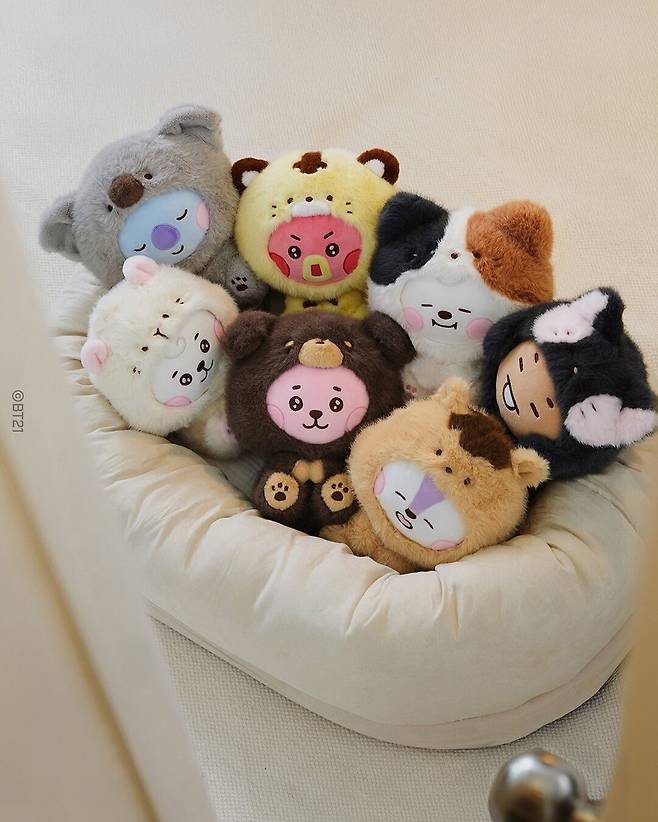 BT21 캐릭터는 2017년 공개 후, 전세계 아미(ARMY)들을 중심으로 강력한 팬덤을 이루고 있다. BT21.