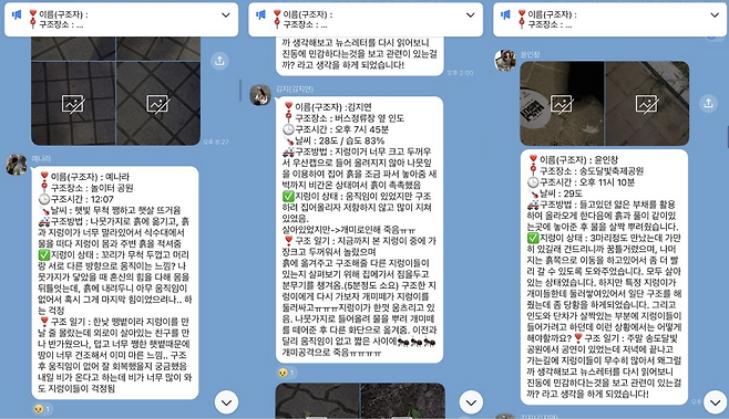 꿈틀단원 활동일지. 서울환경연합 제공