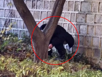 경복궁 돌담길 아래에서 용변 본 중국인 남성, 사진=서경덕 교수