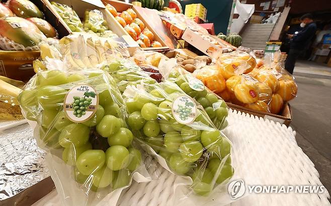 샤인머스캣 [연합뉴스 자료사진]