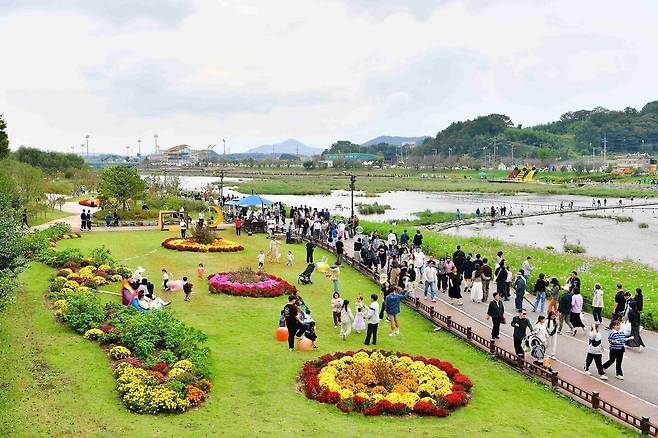 올해 장성 황룡강 가을꽃축제가 방문객 40만여명을 기록하며 성황리에 막을 내렸다. 장성군 제공