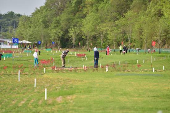 송백지구 파크골프장에서 경기를 즐기고 있는 동호인들.