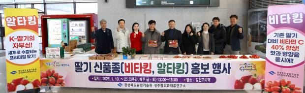 경북 딸기 신품종 홍보행사 모습. 사진=경북도 제공