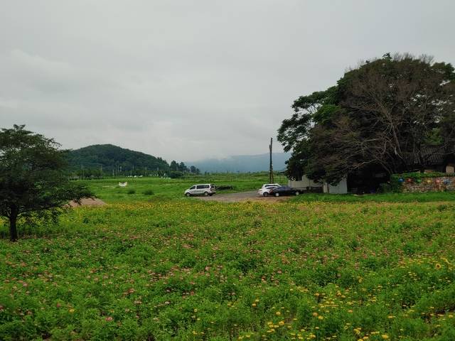 분황사 부지로 추정되는 북쪽의 광장.