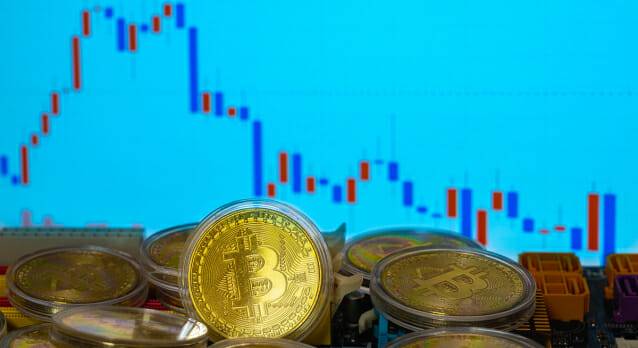 (사진=이미지투데이)