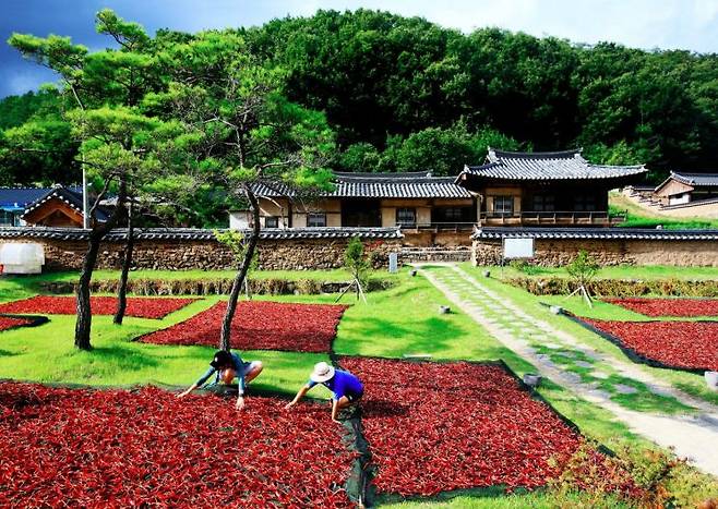 작지만 강한 부자 농촌으로.