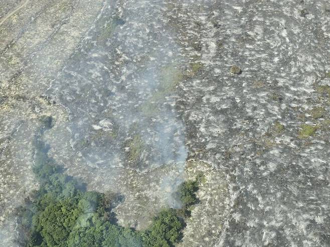 13일 브라질 파라주 파라고미나스 지역의 콩 농장 주변의 산림이 불에 타 새까맣게 변해 있다. 벨렝/옥기원 기자 ok@hani.co.kr