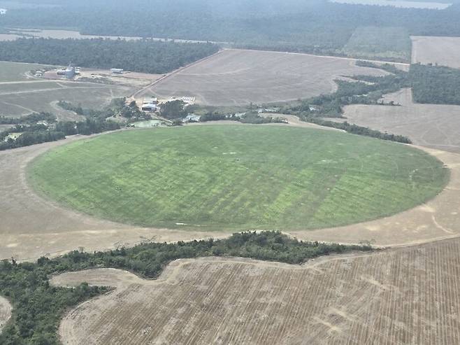 13일 브라질 벨렝에서 비행기로 1시간여 떨어진 파라주 원시림을 벌목해 만든 농장에 소들이 사육되고 있다. 벨렝/옥기원 기자 ok@hani.co.kr