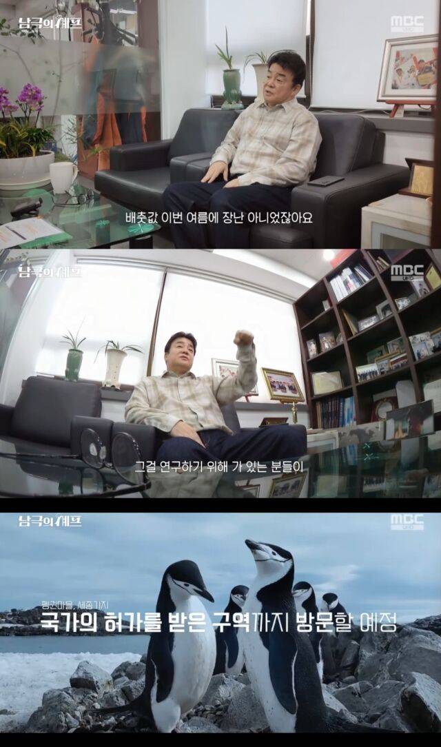 MBC '기후환경 프로젝트 - 남극의 셰프'/MBC '기후환경 프로젝트 - 남극의 셰프' 방송 캡처
