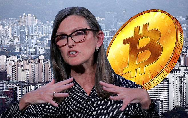 캐시 우드 아크투자운용 대표 [연합·게티이미지뱅크]