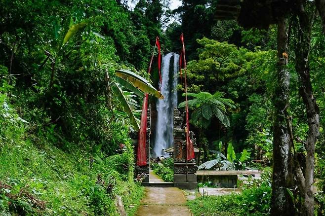 지난 14일(현지시간) 인도네시아 발리에서 관광객들을 실은 미니버스가 계곡으로 추락해 중국인 5명이 죽고 8명이 다쳤다. 사진은 사고 지역 인근 깃깃폭포로, 기사 내용과 무관함. 깃깃폭포 홈페이지 캡처