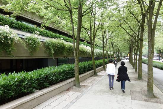 캐나다 밴쿠버의 도심 가로 환경. 풍성한 옥상 녹지와 가로수가 어우러져 쾌적한 보행환경을 조성하고 있습니다.