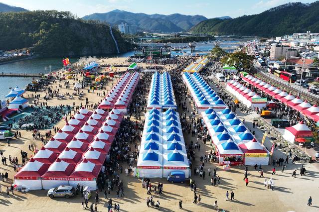 5일간의 축제기간 중 1일 평균 10만여 명이 다녀간 올해 청송사과축제장 전경. 청송군 제공