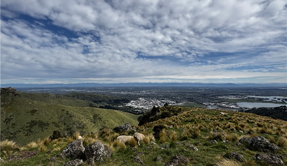 곤돌라를 타고 오른 정상에서 바라보이는 도시의 모습과 양떼들 / 사진=김소은