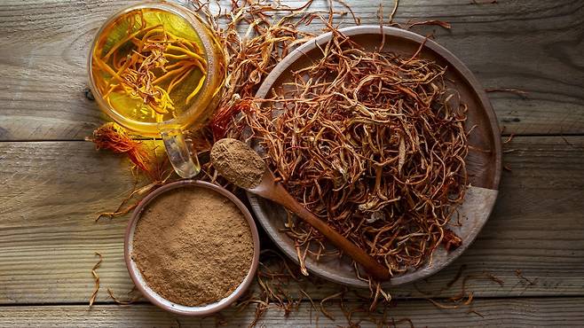 동충하초에는 스트레스 회복에 도움 되는 '어댑토젠' 성분이 풍부하다｜출처: 클립아트코리아