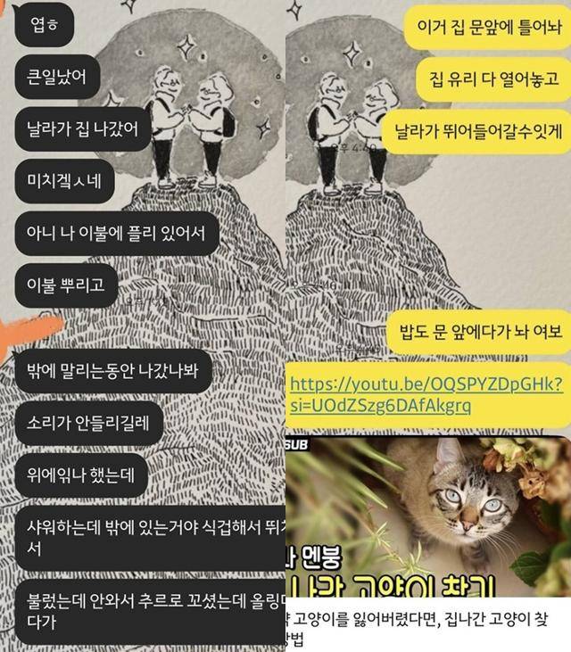 날라가 가출했을 때 보호자들이 나눈 카카오톡 내용입니다. 보호자 제공