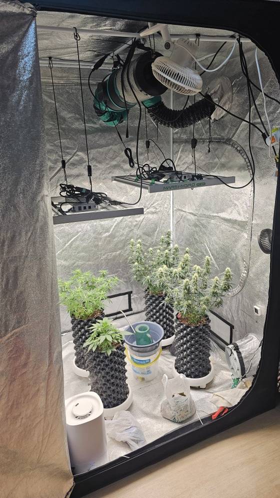 대마를 국내에 유통한 일당이 설치한 대마 재배 도구. 사진 충북경찰청