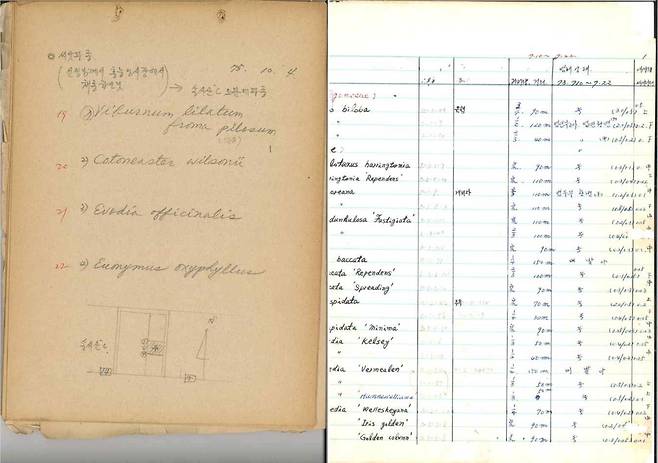 왼쪽부터 1975년 식물 번식 일지, 1973년 식물 관리 일지 [국가유산청 제공. 재판매 및 DB 금지]