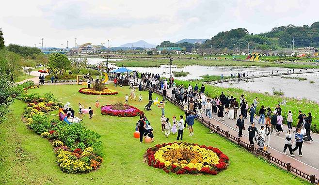 올해 장성 황룡강 가을꽃축제가 방문객 40만여명을 기록하며 성황리에 막을 내렸다. <장성군 제공>
