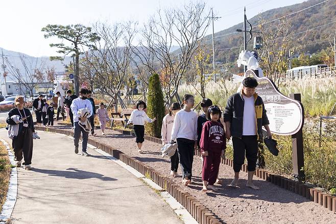 가족 숲 캠프 느린 하루 참가자들이 맨발로드를 걷고 있다. /청도우리정신문화재단 제공