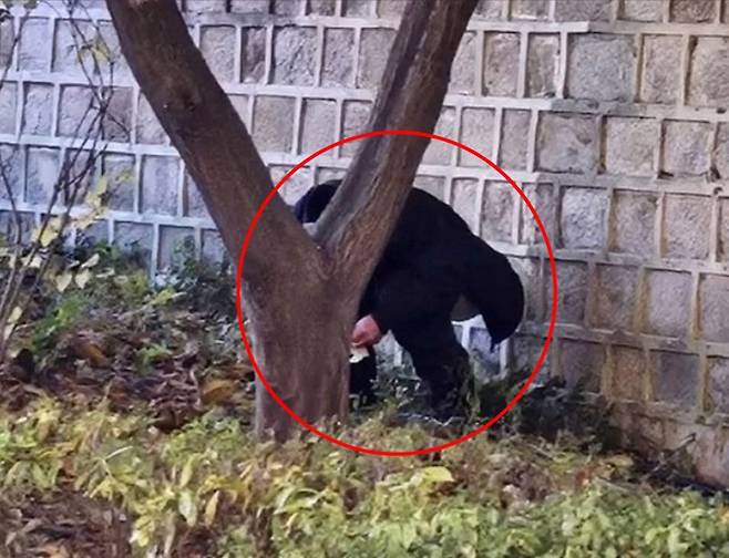 중국인으로 추정되는 남성이 경복궁에서 용변을 보는 모습 (사진=서경덕 교수팀 제공) 2025.11.13. /사진=뉴시스