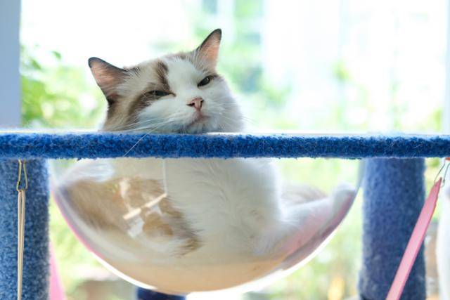 게티이미지뱅크