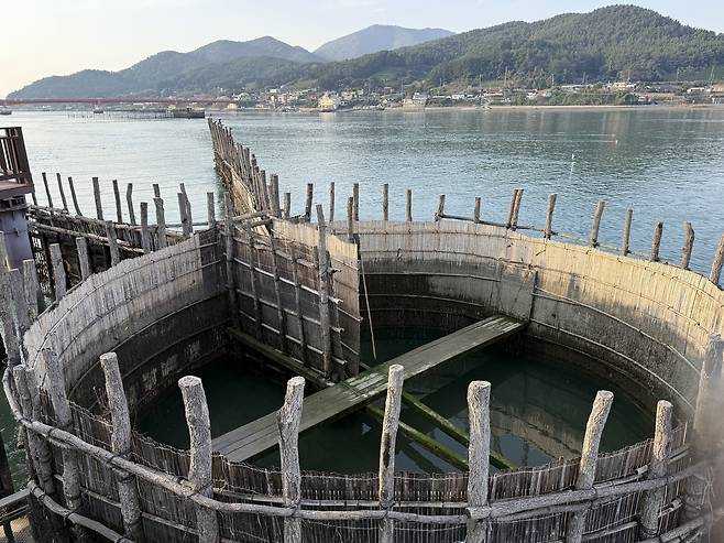 A top view of jukbangryeom preserved in its original form with bamboo weirs and oak tree pillars in Namhae, South Gyeongsang, on Nov. 5 [LEE SOO-JUNG]
