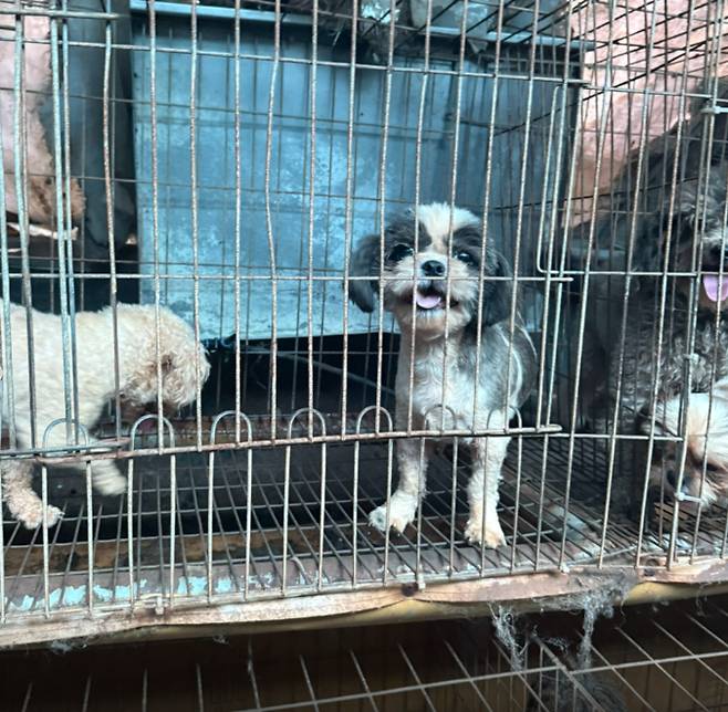 사진과 기사는 관련 없음. [연합뉴스]