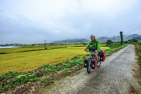 국도 옆으로 농로가 나란히 나 있으면 편안하게 그 길을 이용한다.