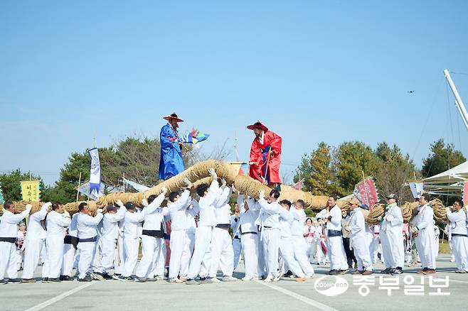무대·개막의전·초청가수가 없는 3무(無)축제에서 여주의 전통 민속놀이인 '쌍용거줄다리기'가 여주오곡나루축제의 시작을 알리고 있다. 김규철기자